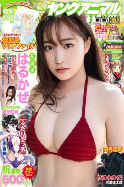 赵甲第